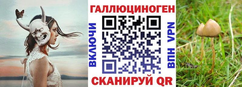 Псилоцибиновые грибы Psilocybe  Омск 